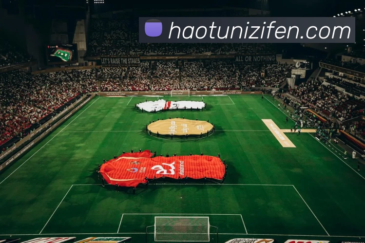 星空体育发展历程